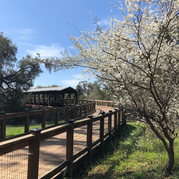 Freedom is not Free - Picture 3 of 7